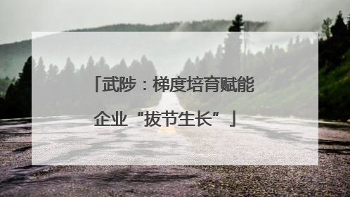 武陟：梯度培育赋能企业“拔节生长”