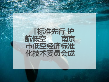 标准先行 护航低空——南京市低空经济标准化技术委员会成立大会召开