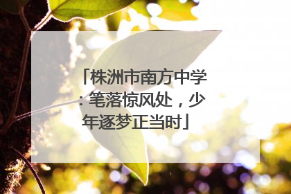 株洲市南方中学：笔落惊风处，少年逐梦正当时