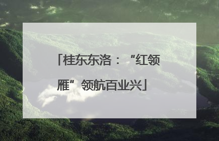 桂东东洛：“红领雁”领航百业兴