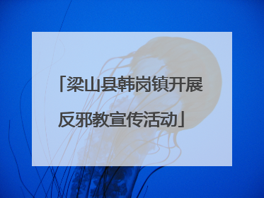 梁山县韩岗镇开展反邪教宣传活动