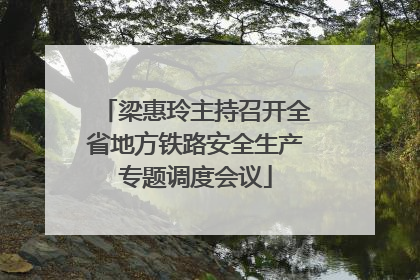 梁惠玲主持召开全省地方铁路安全生产专题调度会议