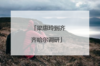 梁惠玲到齐齐哈尔调研