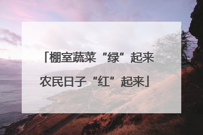 棚室蔬菜“绿”起来 农民日子“红”起来