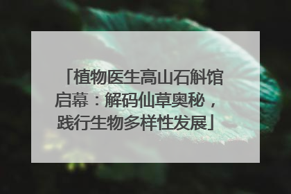 植物医生高山石斛馆启幕：解码仙草奥秘，践行生物多样性发展