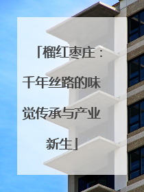 榴红枣庄：千年丝路的味觉传承与产业新生