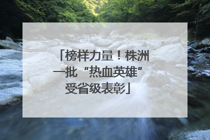 榜样力量！株洲一批“热血英雄”受省级表彰