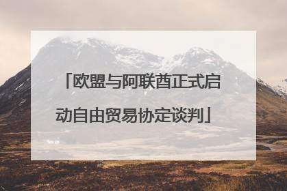 欧盟与阿联酋正式启动自由贸易协定谈判