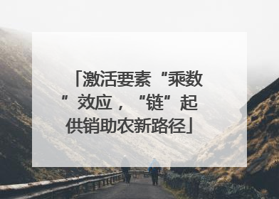 激活要素“乘数”效应，“链”起供销助农新路径