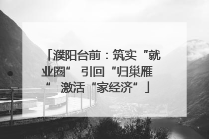 濮阳台前：筑实“就业圈” 引回“归巢雁” 激活“家经济”