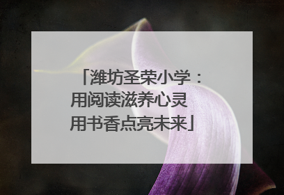 潍坊圣荣小学：用阅读滋养心灵 用书香点亮未来