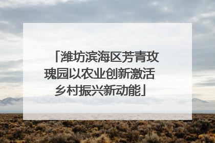 潍坊滨海区芳青玫瑰园以农业创新激活乡村振兴新动能