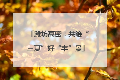 潍坊高密：共绘“三夏”好“丰”景