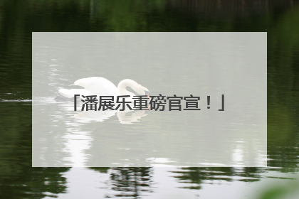 潘展乐重磅官宣！