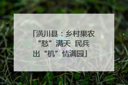 潢川县：乡村果农“愁”满天  民兵出“机”情满园