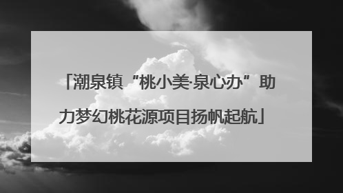 潮泉镇“桃小美·泉心办”助力梦幻桃花源项目扬帆起航