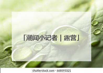 潮闻小记者｜露营