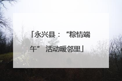 永兴县：“粽情端午” 活动暖邻里