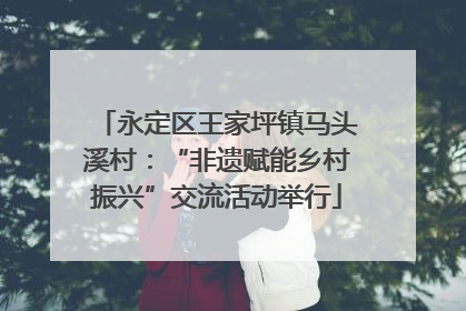 永定区王家坪镇马头溪村：“非遗赋能乡村振兴”交流活动举行
