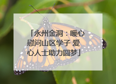 永州金洞：暖心慰问山区学子 爱心人士助力圆梦