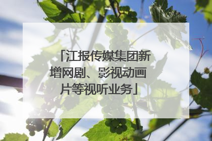 江报传媒集团新增网剧、影视动画片等视听业务