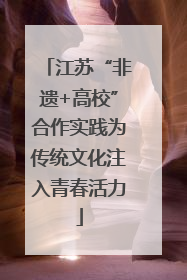江苏“非遗+高校”合作实践为传统文化注入青春活力