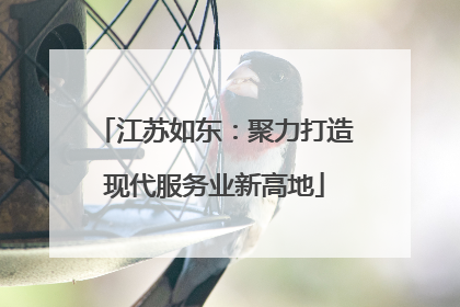 江苏如东：聚力打造现代服务业新高地