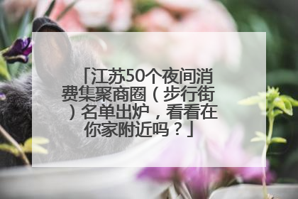 江苏50个夜间消费集聚商圈（步行街）名单出炉，看看在你家附近吗？
