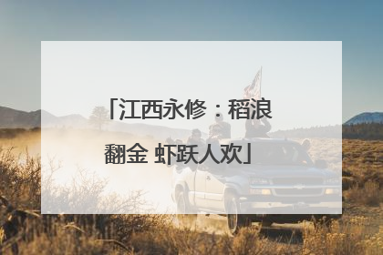 江西永修：稻浪翻金 虾跃人欢