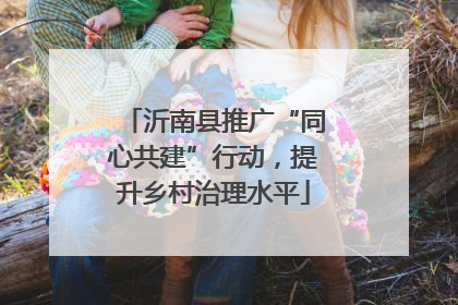 沂南县推广“同心共建”行动，提升乡村治理水平