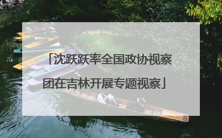 沈跃跃率全国政协视察团在吉林开展专题视察