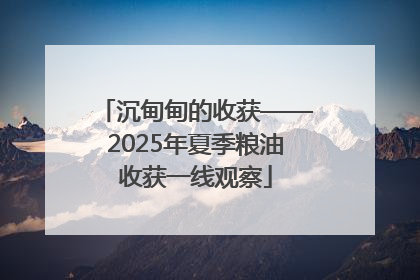 沉甸甸的收获——2025年夏季粮油收获一线观察