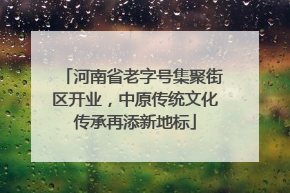 河南省老字号集聚街区开业，中原传统文化传承再添新地标