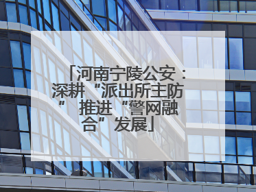 河南宁陵公安：深耕“派出所主防” 推进“警网融合”发展