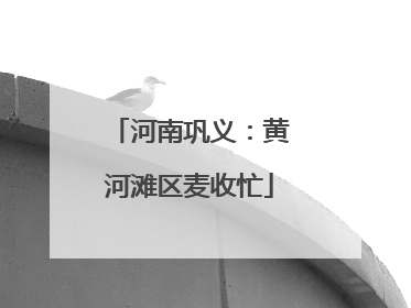 河南巩义：黄河滩区麦收忙