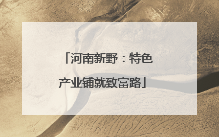 河南新野：特色产业铺就致富路