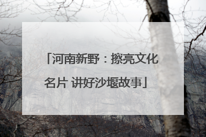 河南新野：擦亮文化名片 讲好沙堰故事