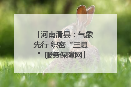 河南滑县：气象先行 织密“三夏”服务保障网