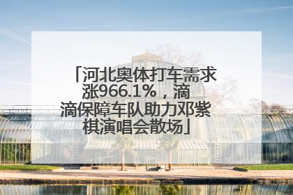 河北奥体打车需求涨966.1%，滴滴保障车队助力邓紫棋演唱会散场