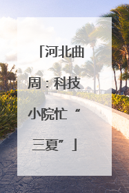 河北曲周：科技小院忙“三夏”