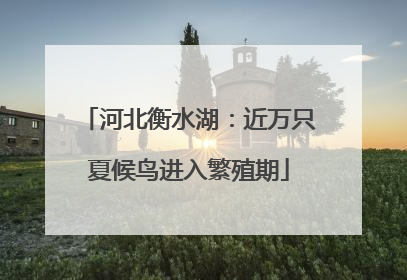 河北衡水湖：近万只夏候鸟进入繁殖期