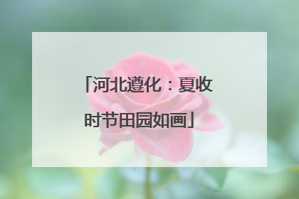 河北遵化：夏收时节田园如画
