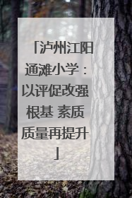 泸州江阳通滩小学：以评促改强根基 素质质量再提升