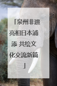 泉州非遗亮相日本浦添 共绘文化交流新篇