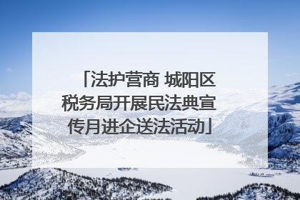 法护营商 城阳区税务局开展民法典宣传月进企送法活动