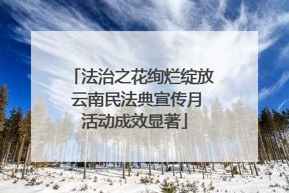 法治之花绚烂绽放 云南民法典宣传月活动成效显著