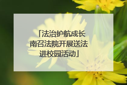 法治护航成长 南召法院开展送法进校园活动