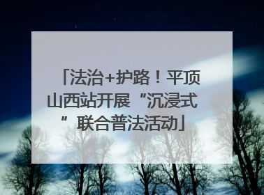 法治+护路！平顶山西站开展“沉浸式”联合普法活动