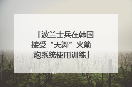 波兰士兵在韩国接受“天舞”火箭炮系统使用训练