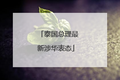 泰国总理最新涉华表态